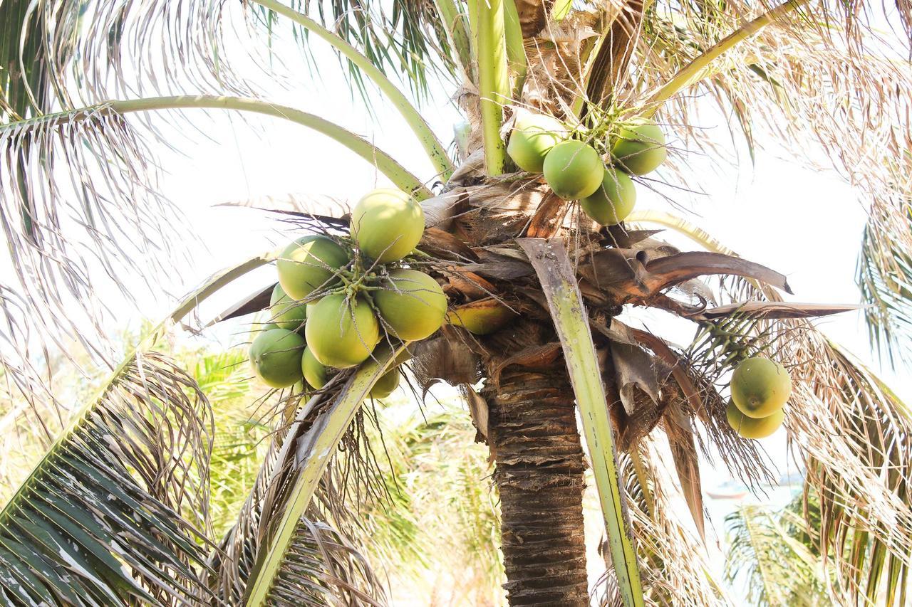 Eagles Beach Resort Phan Thiet Bagian luar foto